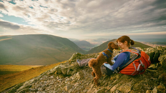 A Dog Friendly Hotel in the Scottish Highlands