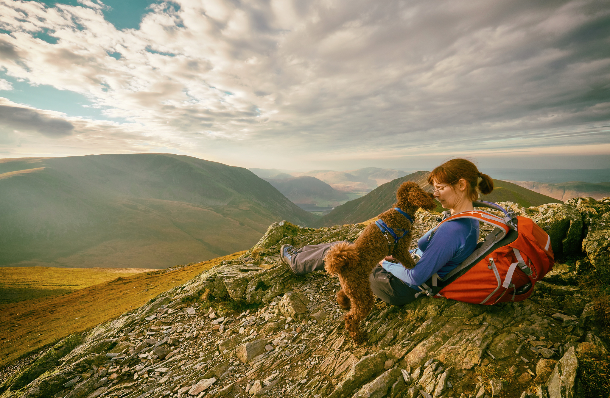 A Dog Friendly Hotel in the Scottish Highlands